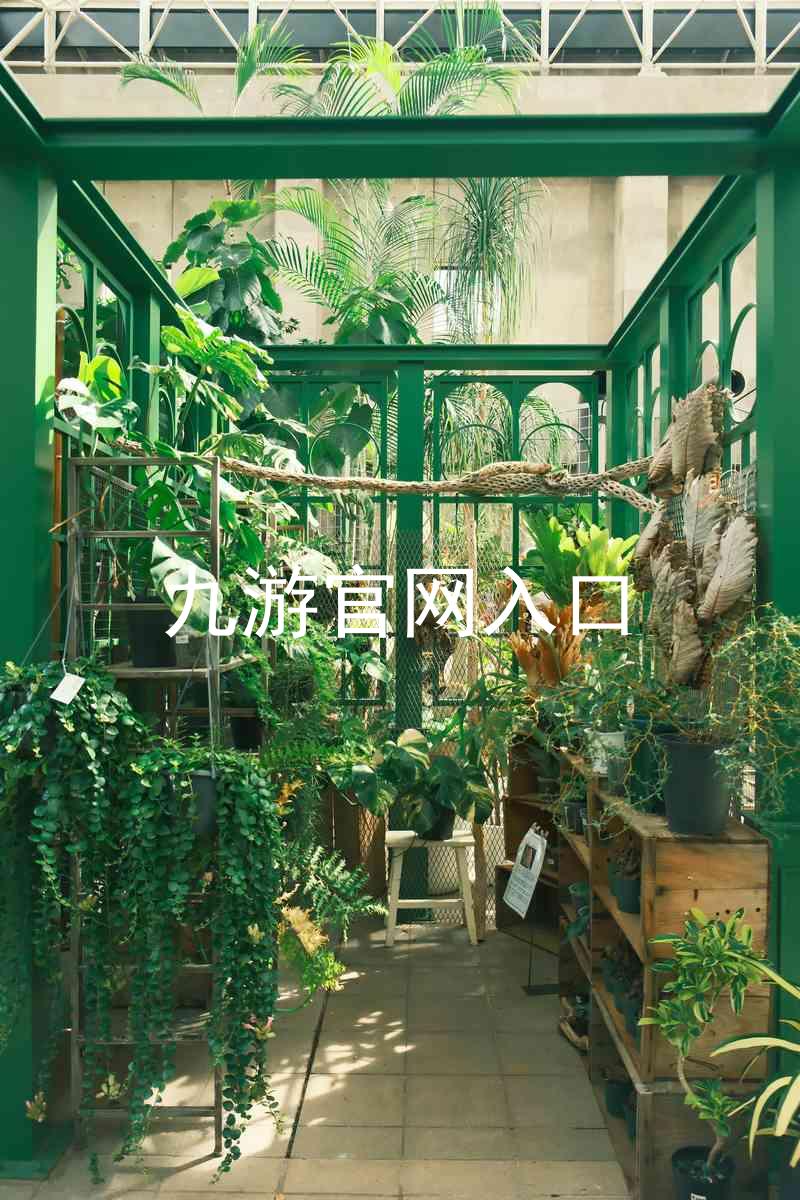 九游官网入口
